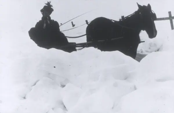 A rural letter carrier’s horse and sleigh in deep snow, about 1910 (another carrier, not Mary Fields)