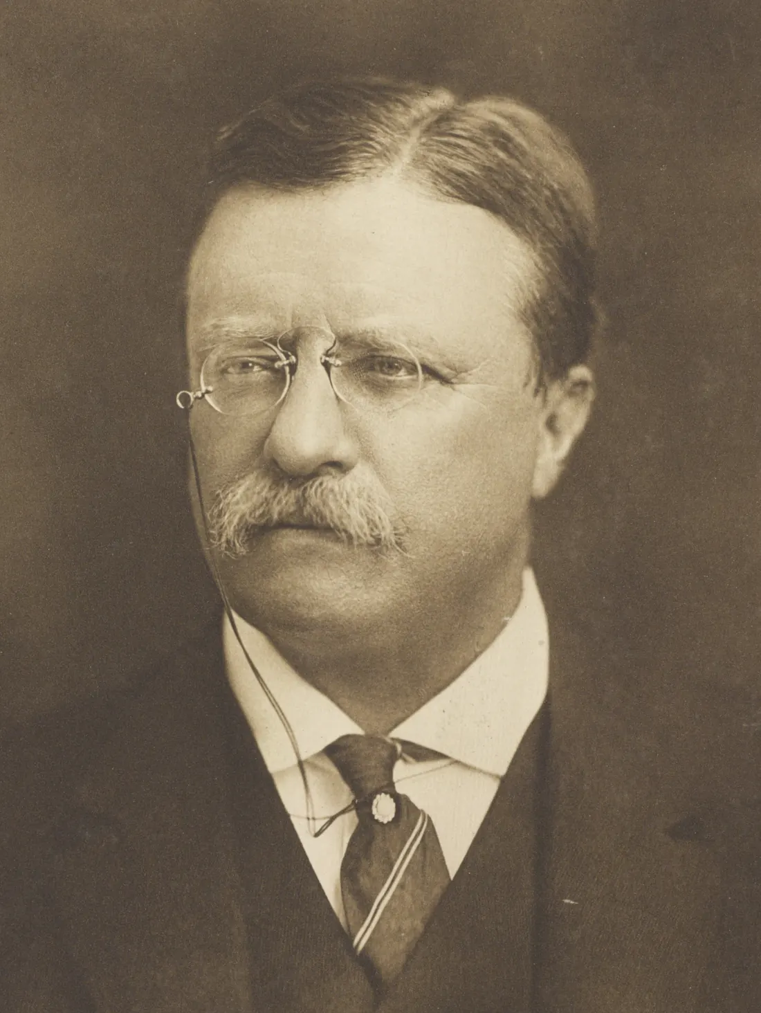 Theodore Roosevelt, photographed by Pach Brothers, about 1910