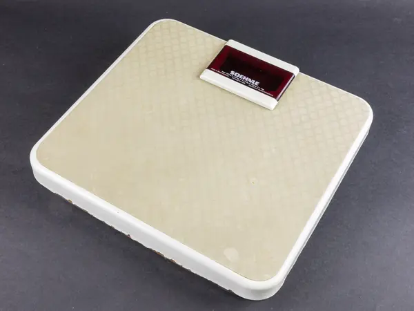 Bathroom scales, 2018 (not Fury’s)