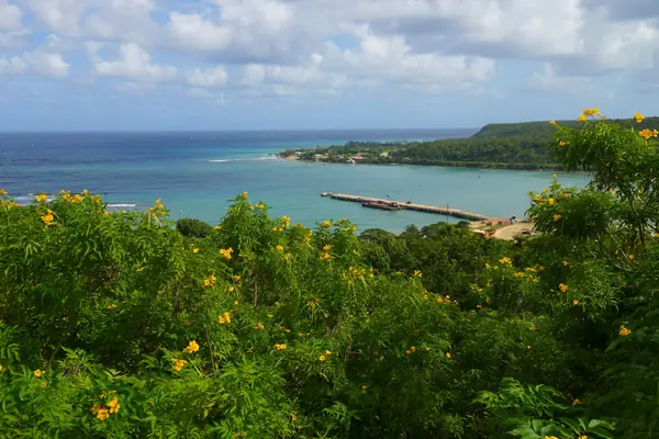Rio Bueno, Trelawny Parish, Jamaica, 2011 (his home parish, not his home village)