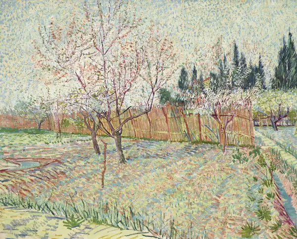 Verger avec cyprès, a painting by Vincent van Gogh, April 1888, sold at Christie’s in New York in 2022