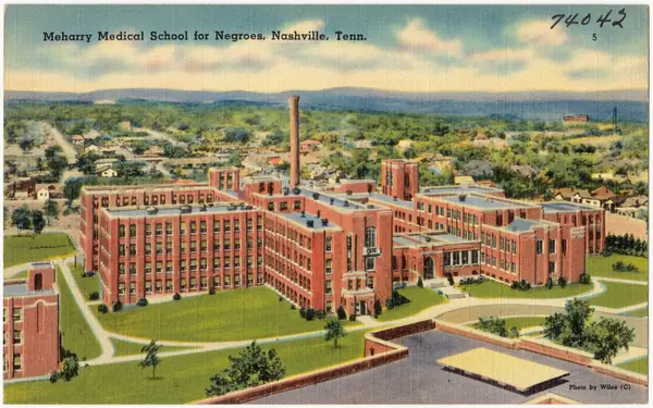 Meharry Medical School for Negroes, Nashville, Tenn (74042)