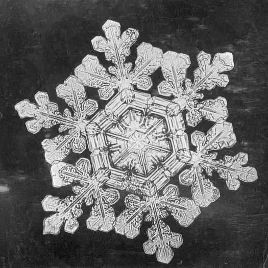A snow crystal photographed by Bentley, a print dated 1890