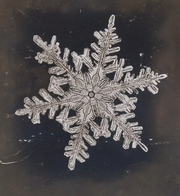 A snow crystal photographed by Bentley, about 1910