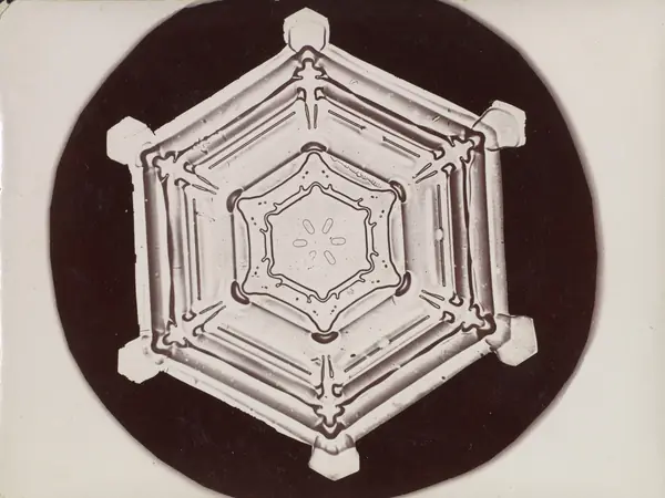 A snow crystal photographed by Bentley, a print of the 1890s–1920s (not from his 1931 book)