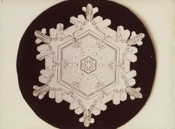 A snow crystal photographed by Bentley, a print of the 1890s–1920s (not his first photograph of 1885)