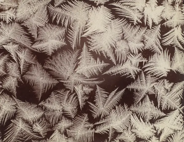 Frost, photographed by Bentley, about 1910