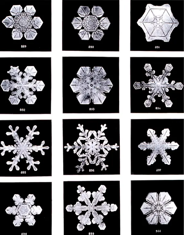 Plate XIX of Bentley’s “Studies among the Snow Crystals,” Monthly Weather Review, 1902