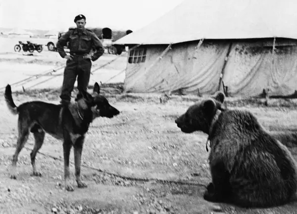 Wojtek meet the new friend