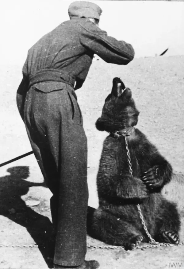 Polish Soldier in Iran wojtek